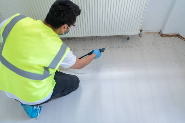 Best Fumigation Services  in Castroville, TX